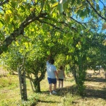 Une activit� de plein air